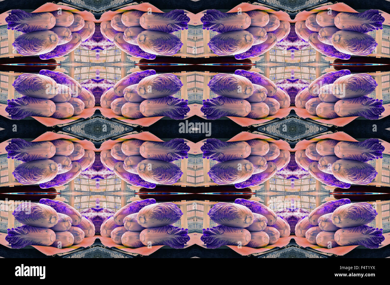 frischen violetten Chinakohl Stockfoto