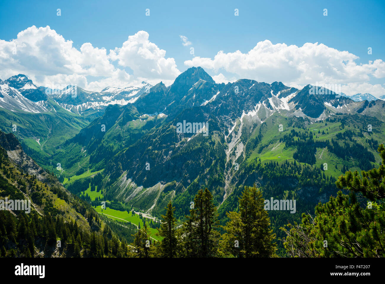Allgäu, Allgäuer Alpen, Allgäu Grass Berg, Alpen, Reiseziel, schützenden Wald, bayerische Küche, in der Nähe von Oberstdorf, Berg, Berg Stockfoto