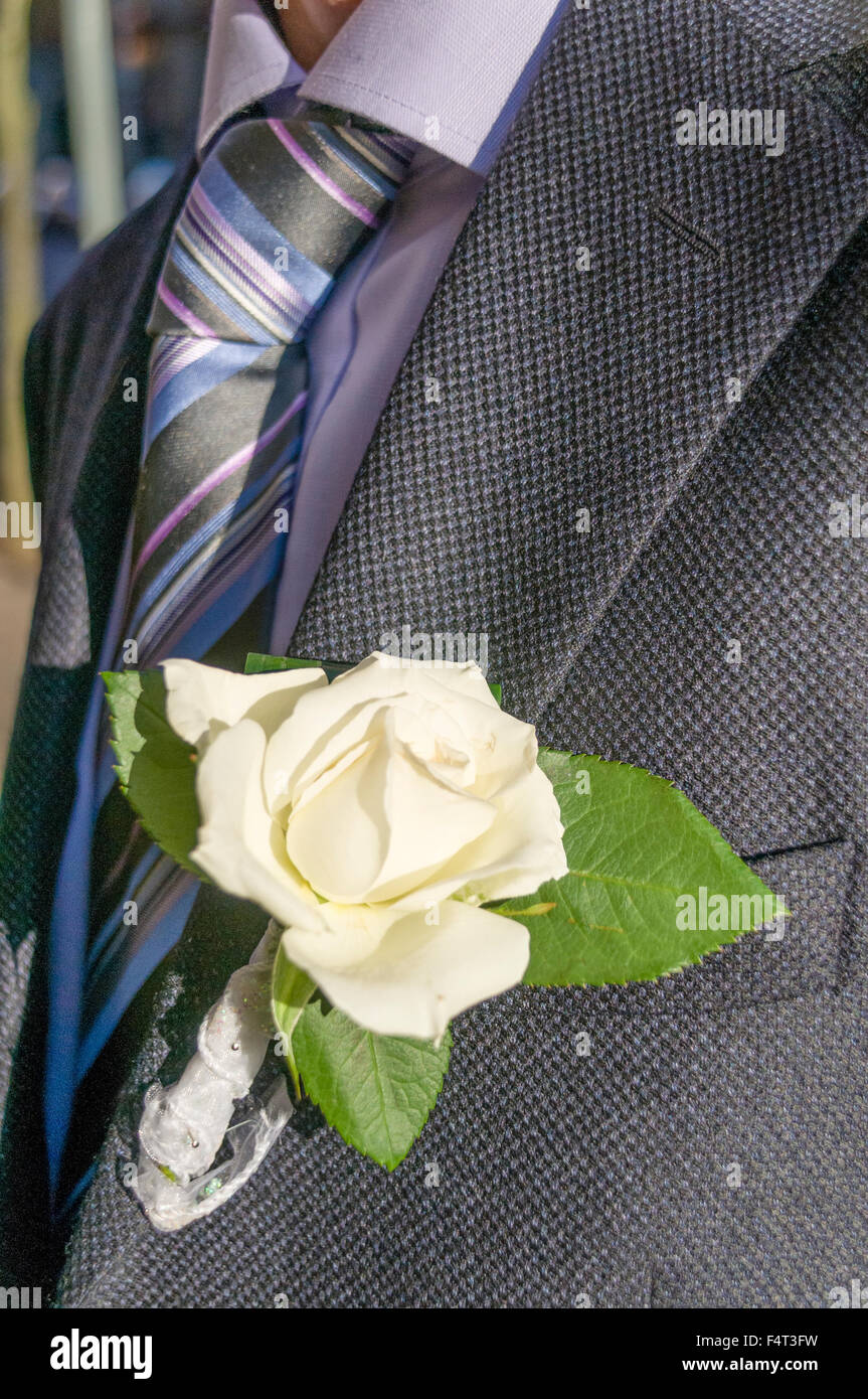 Ein männlicher Gast bei einer Hochzeit trägt einen smart Anzug mit einer Creme rose Blume Knopfloch Stockfoto