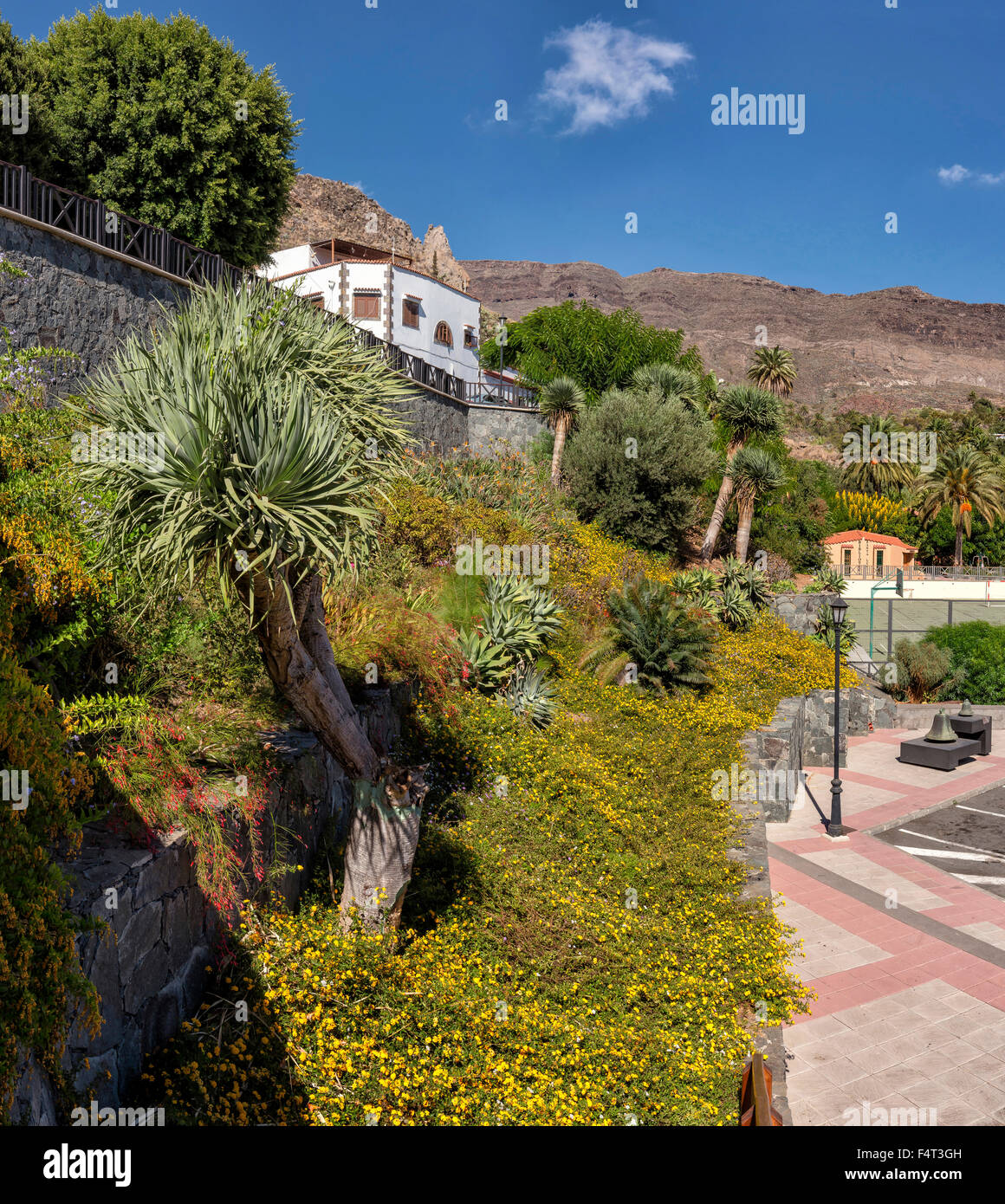 Spanien, Europa, Santa Lucia, Gran Canaria, Kanarische Inseln, Stadtpark, Stadt, Dorf, Blumen, Bäume, Sommer, Stockfoto