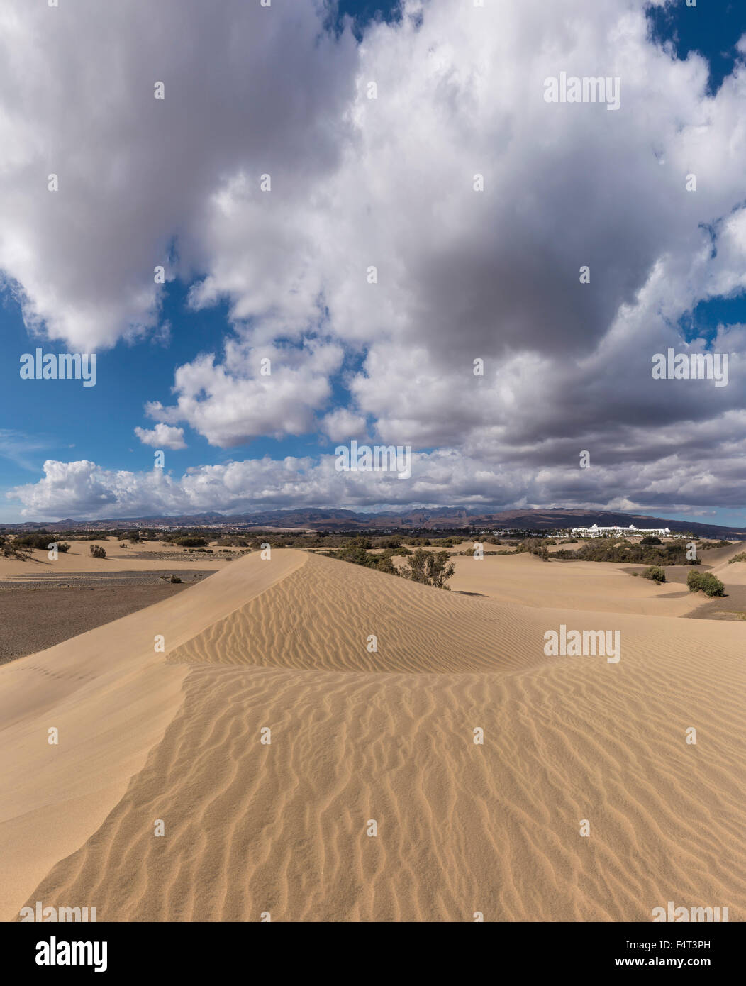 Spanien, Europa, Maspalomas, Gran Canaria, Kanarische Inseln, Dunas de Maspalomas, Dünen, Landschaft, Sommer, Strand, Wolken, Stockfoto