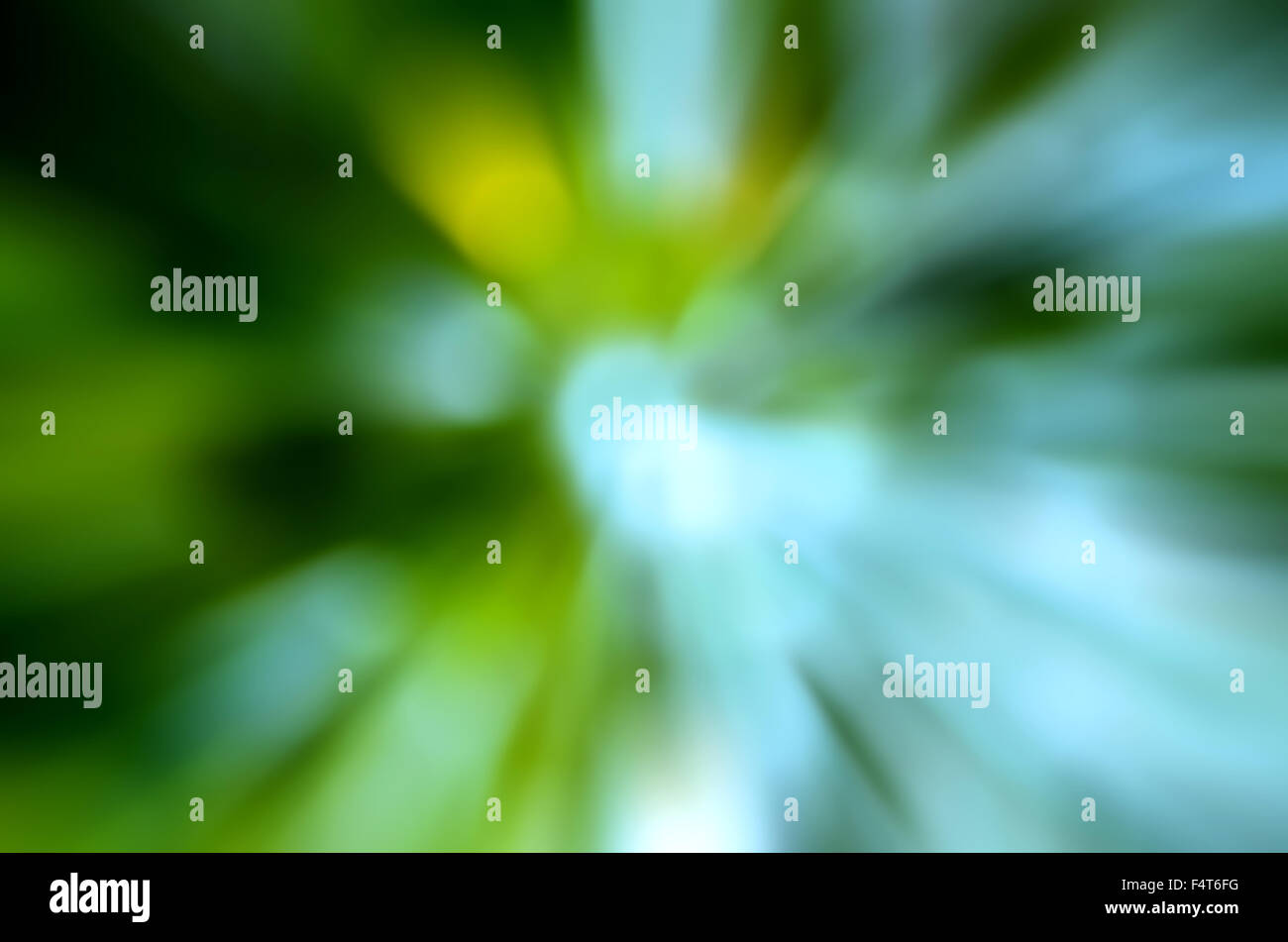 magische sonnigen Grün Abstrakt Hintergrund Stockfoto