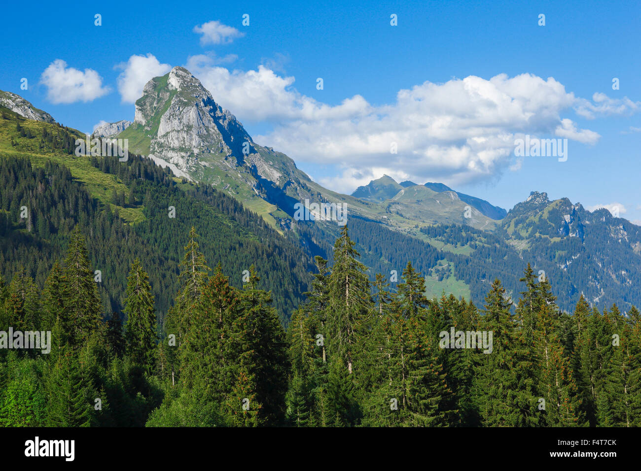 Glarner Alpen am Pragelpass, Schweiz Stockfoto