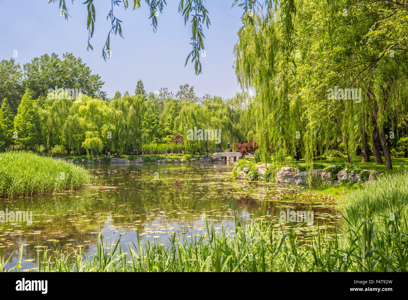 China, Peking, Peking, Stadt, Sommer-Palast-Park Stockfoto