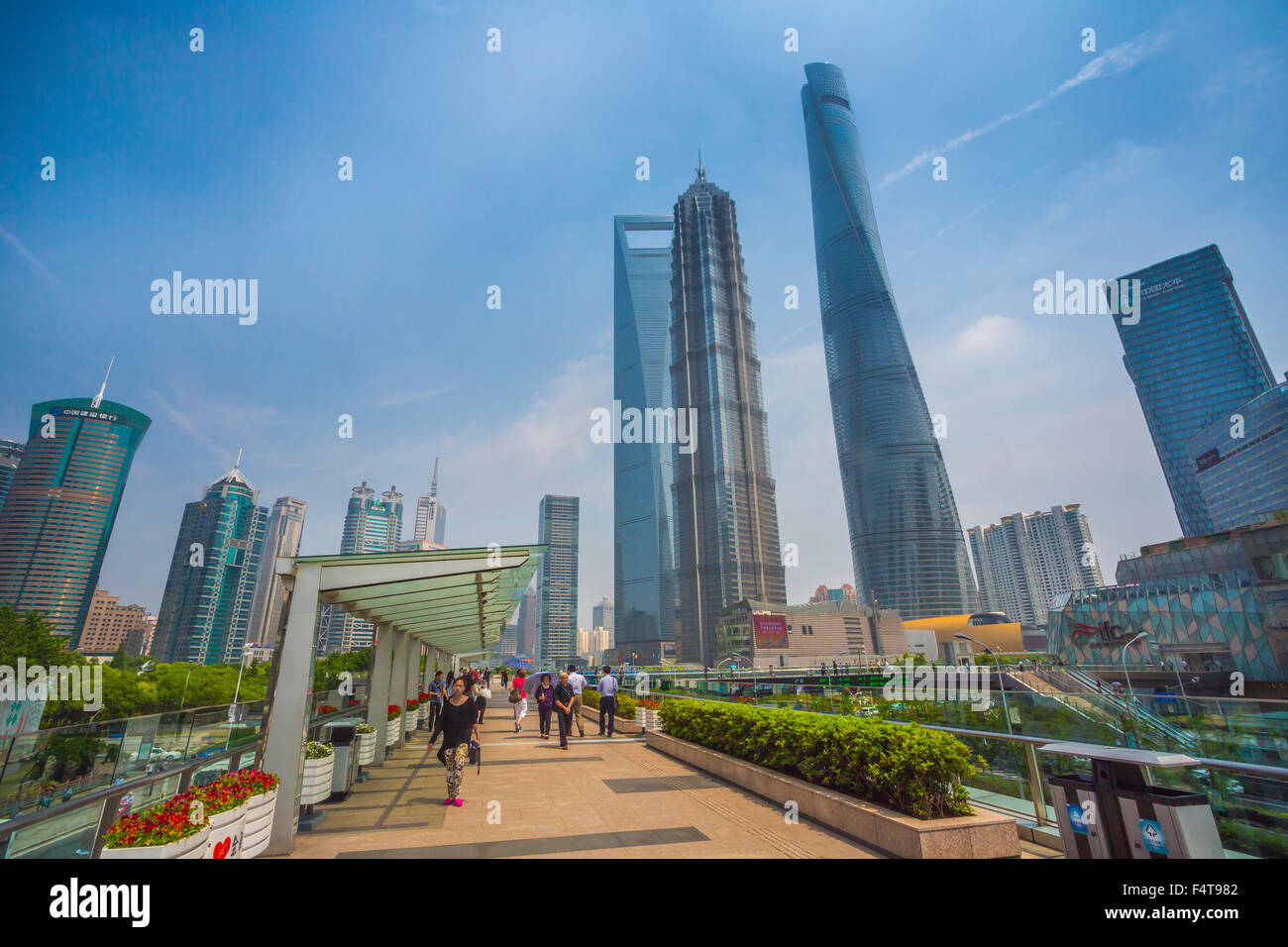 China, Shanghai City, Stadtteil Pudong, Lujiazui, World Financial Center, Jinmao-Gebäude und Shanghai Tower Stockfoto