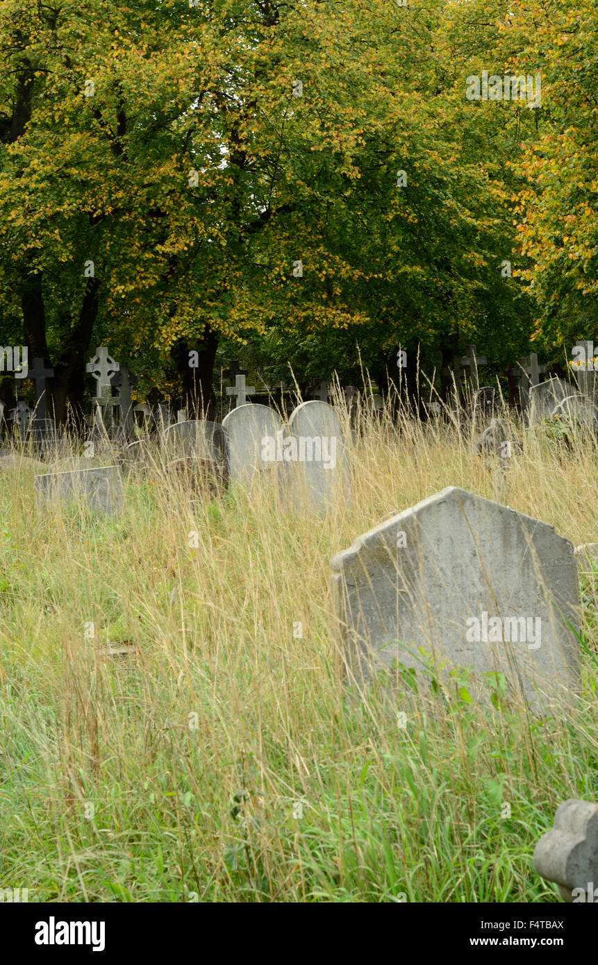 Grabsteine in einem verwilderten Friedhof. Stockfoto