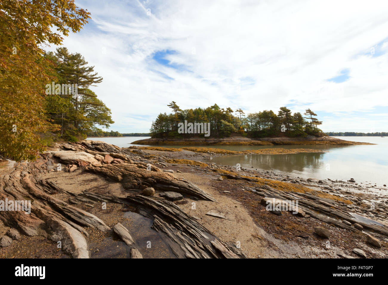Die Maine Küste bei Wolfe's Hals Woods State Park, Casco Bay, Freeport, Maine USA Stockfoto