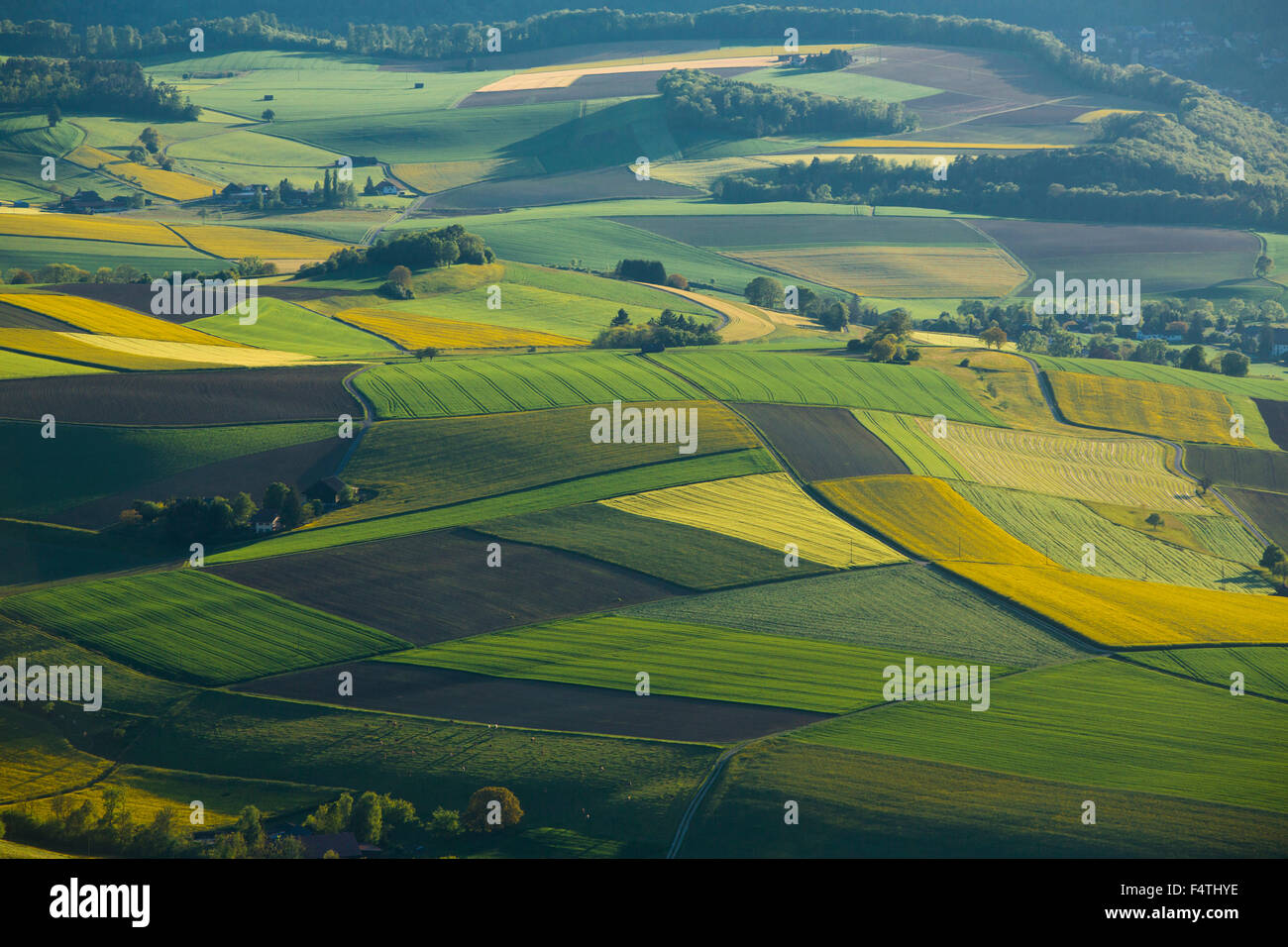 Felder in der Nähe von Schleitheim Stockfoto