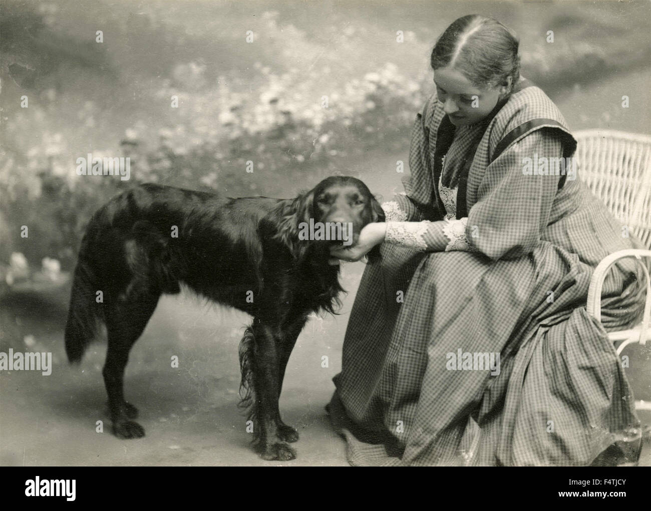 Frau mit Hund Setter-wie Stockfoto