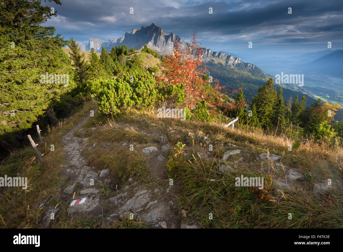 Ansicht, Vista, Gonzen, Schweiz, Kanton St. Gallen, Rheintal, Holz, Herbst, Bergwanderweg Stockfoto
