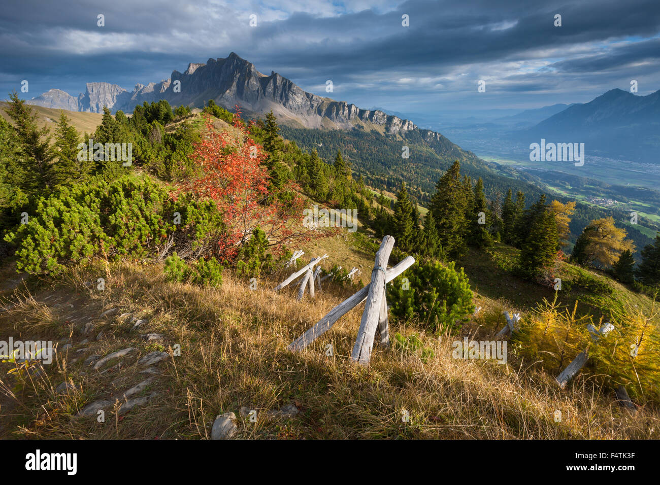 Ansicht, Vista, Gonzen, Schweiz, Kanton St. Gallen, Rheintal, Berg Holz, Herbst, Lawinenschutz Stockfoto