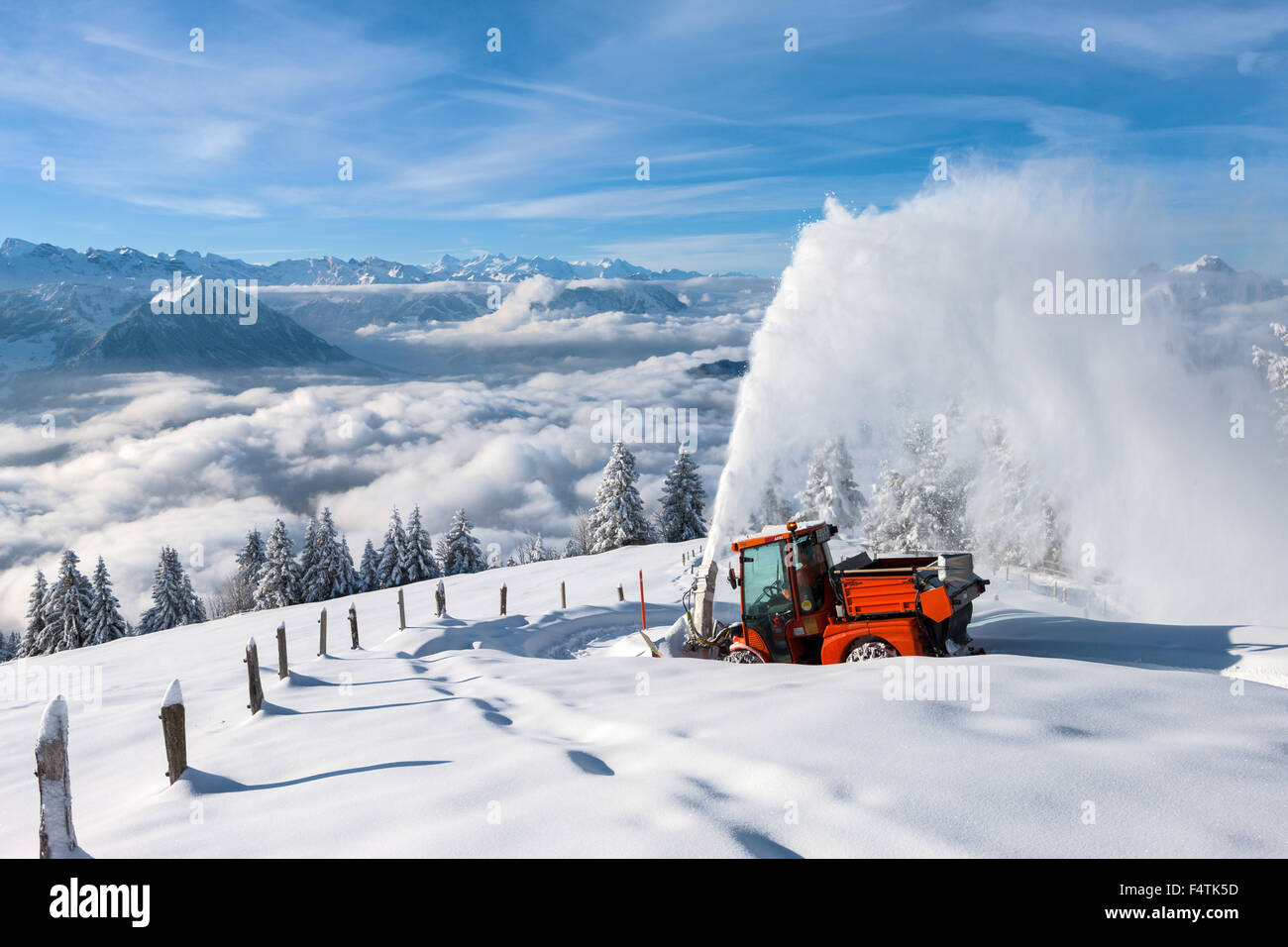 Ansicht, Vista, Rigi Staffelhöhe, Schweiz, Kanton Luzern, Holz, Wald, Winter, Morgenlicht, Aussichtspunkt, Nebelmeer, foo Stockfoto