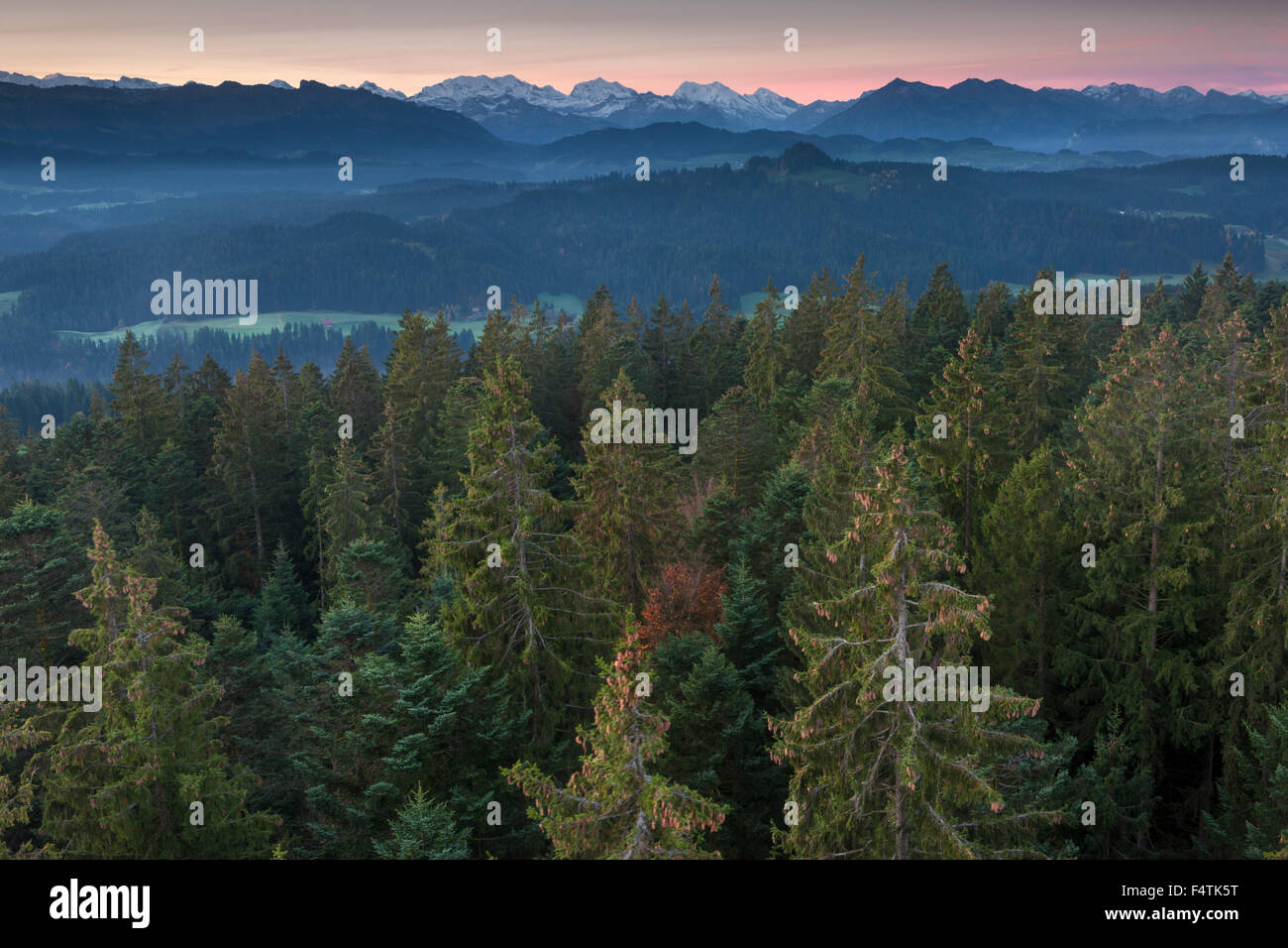 Chuderhüsi, Schweiz, Kanton Bern, Emmental, Ansicht, Aussicht, Aussichtsturm, Holz, Wald, morgen Stimmung Stockfoto