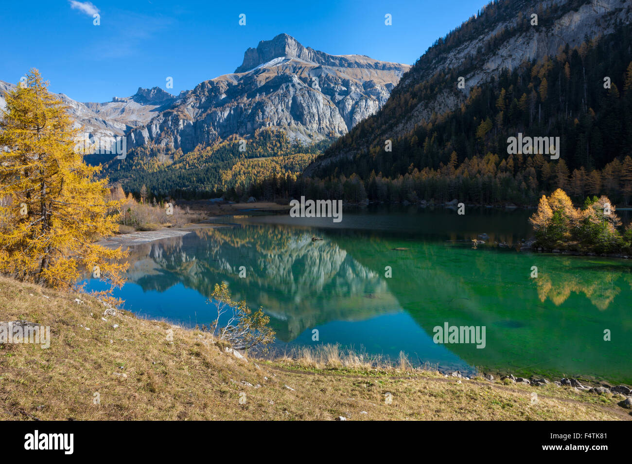 Lac de Derborence, Schweiz, Kanton Wallis, Berg See, See, Spiegelung, Erdrutsch Bereich, Naturschutzgebiet, Herbst Stockfoto