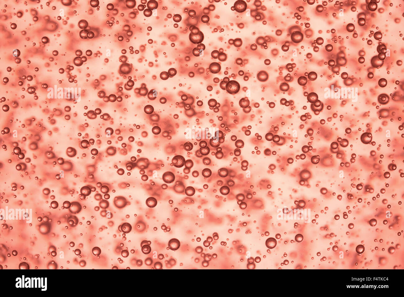 rote Knötchen Wasser Hintergrund. Stockfoto