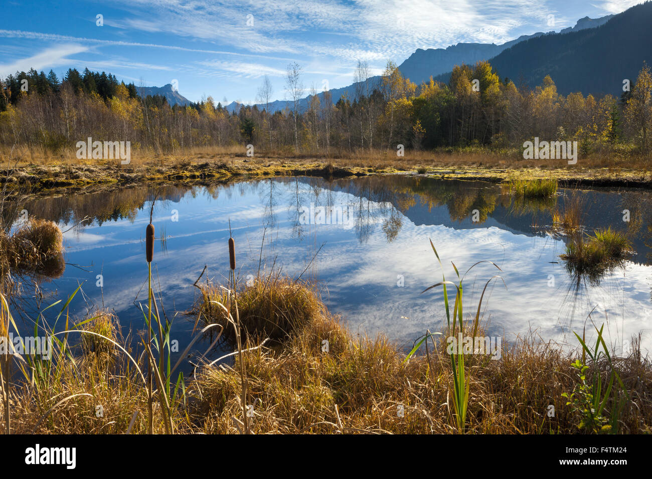 Steinmösli, Schweiz, Kanton Bern, Emmental, Sumpf, Moor, Landschaft, Naturpark, Reflexion Stockfoto