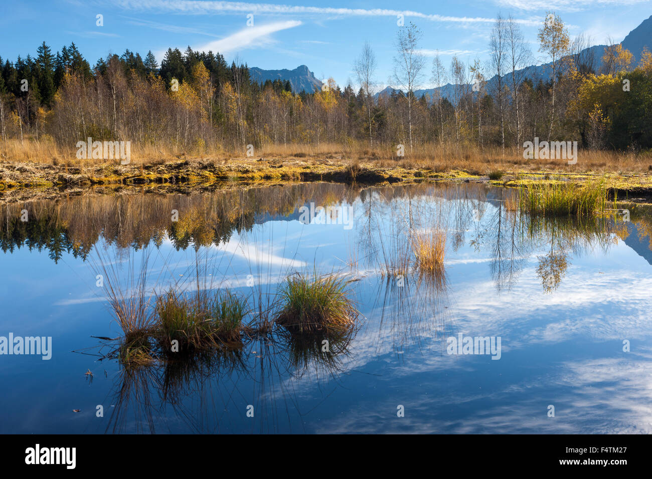 Steinmösli, Schweiz, Kanton Bern, Emmental, Sumpf, Moor, Landschaft, Naturpark, Reflexion Stockfoto