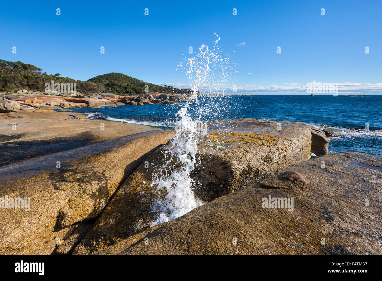 Bicheno Blasloch, Australien, Tasmanien, Ostküste, Meer, Küste, Welle, Schaum, Wasserloch Stockfoto