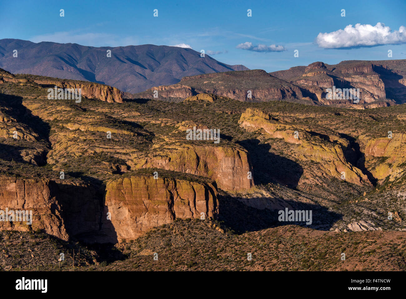 Tonto National Forest in Arizona, USA, Amerika, Felsen, Landschaft Stockfoto