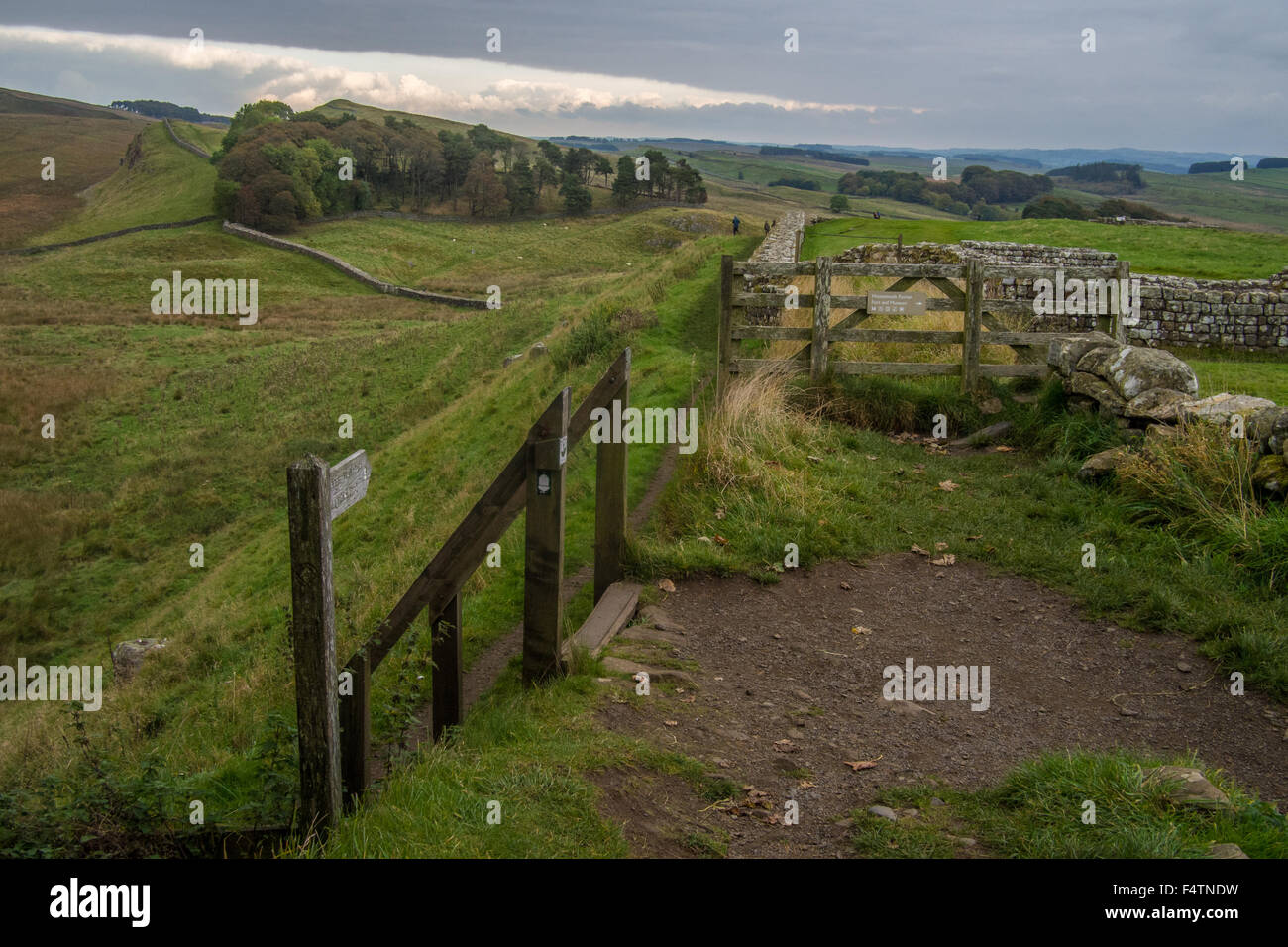 Hadrian Wand & römischen Kastells Housesteads (früher Vercovicium), Bardon Mill, Hexham, Northumberland, England. Stockfoto