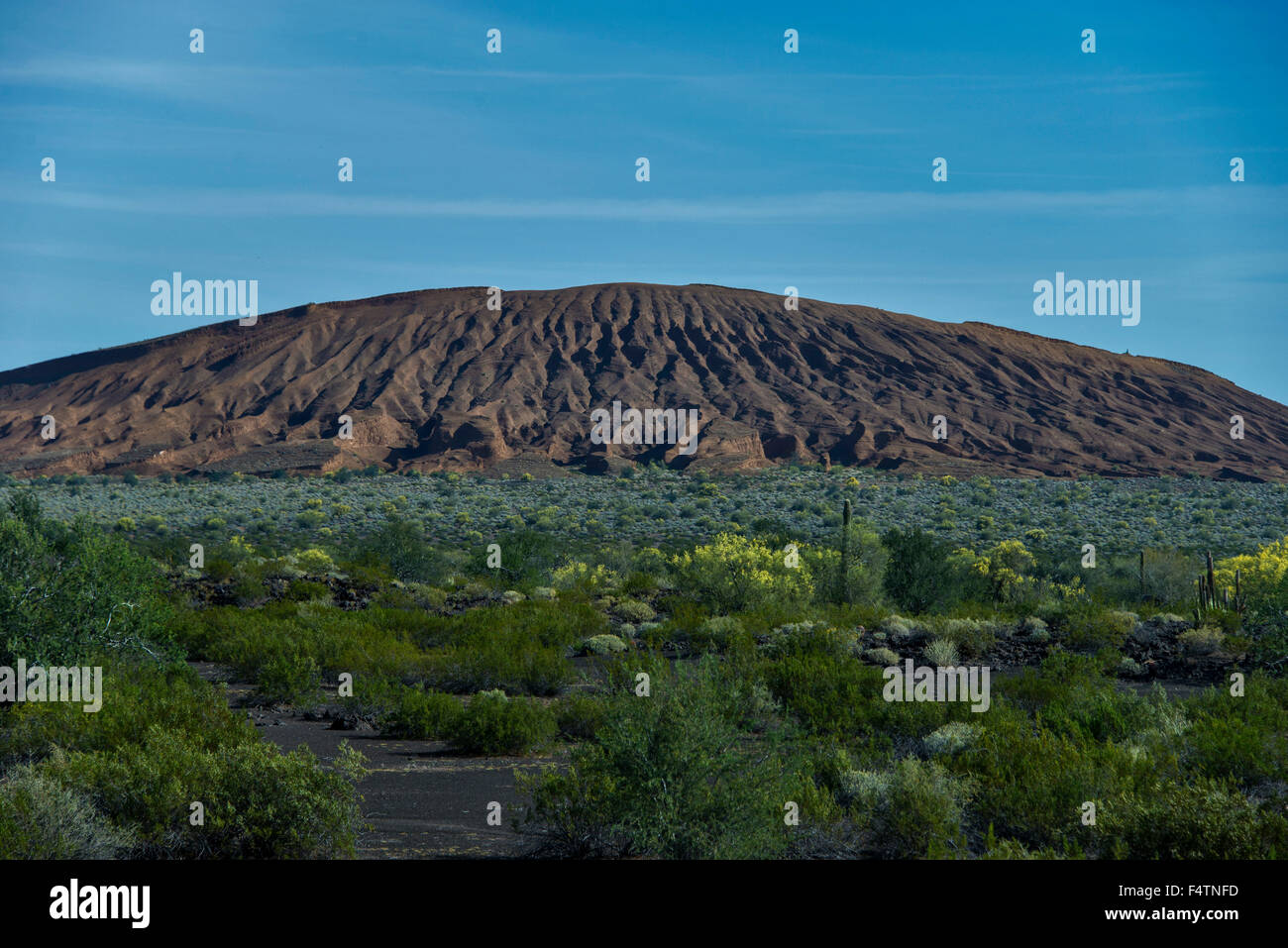 Pinacate, Biosphärenreservat, reservieren, Mexiko, Mittelamerika, Landschaft Stockfoto