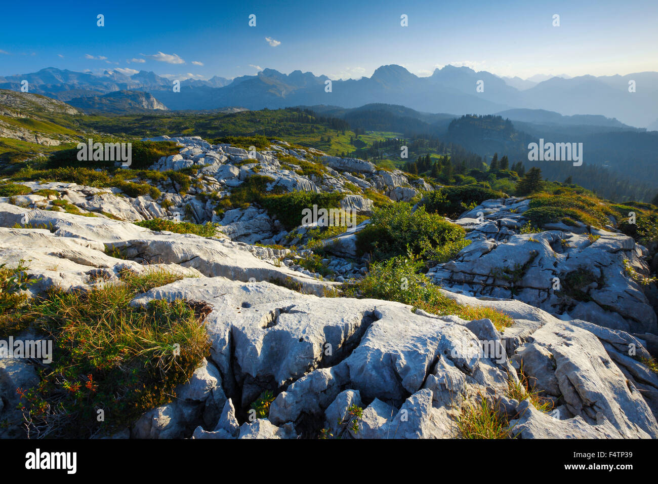 Karst auf dem Pragel Pass, Schwyz, Schweiz Stockfoto