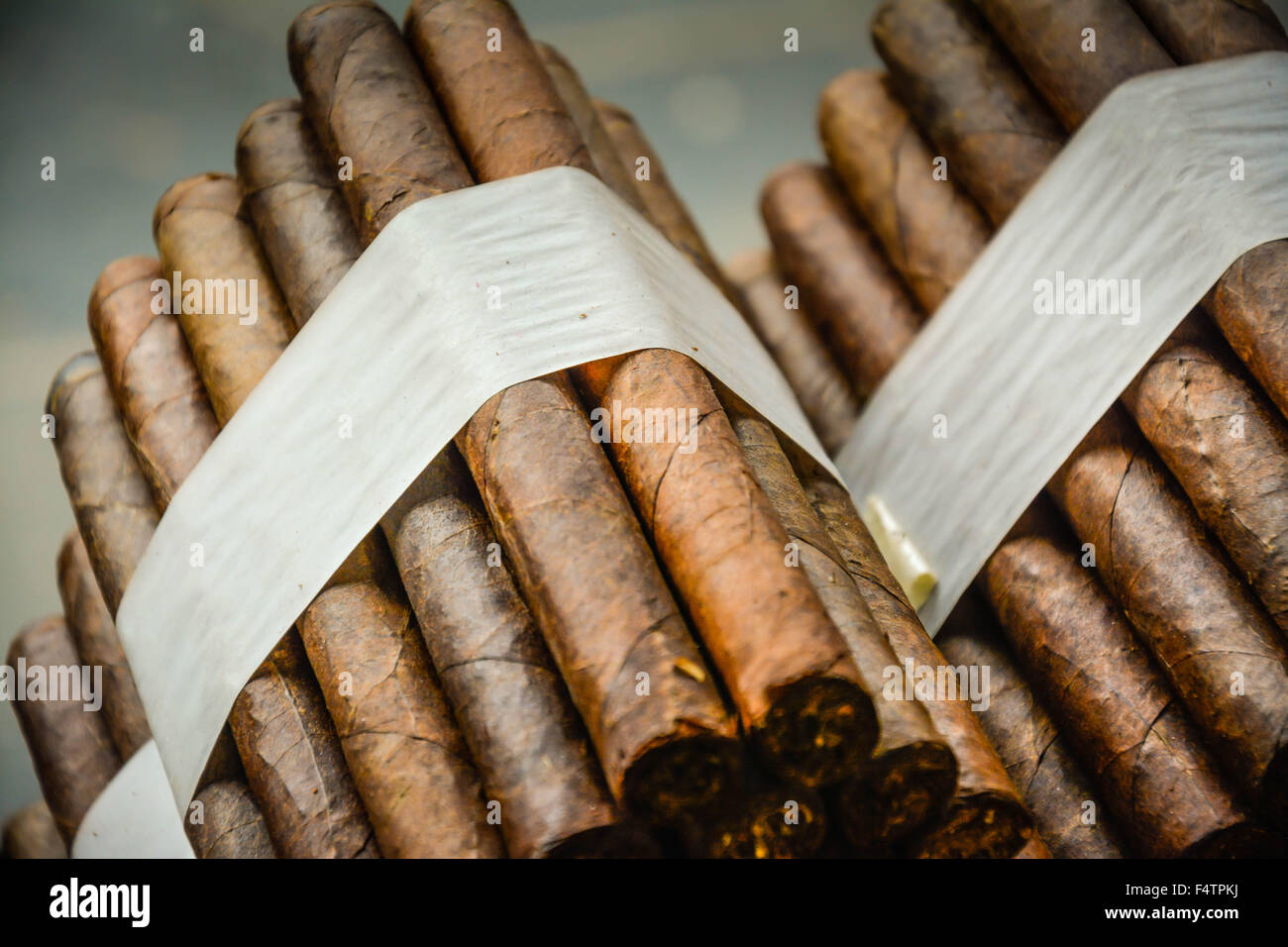 Moody, künstlerischen und nostalgischen Blick auf Hand gerollt kubanische Zigarren gebündelt und gestapelt in Cigar Factory Store-Fenster Stockfoto