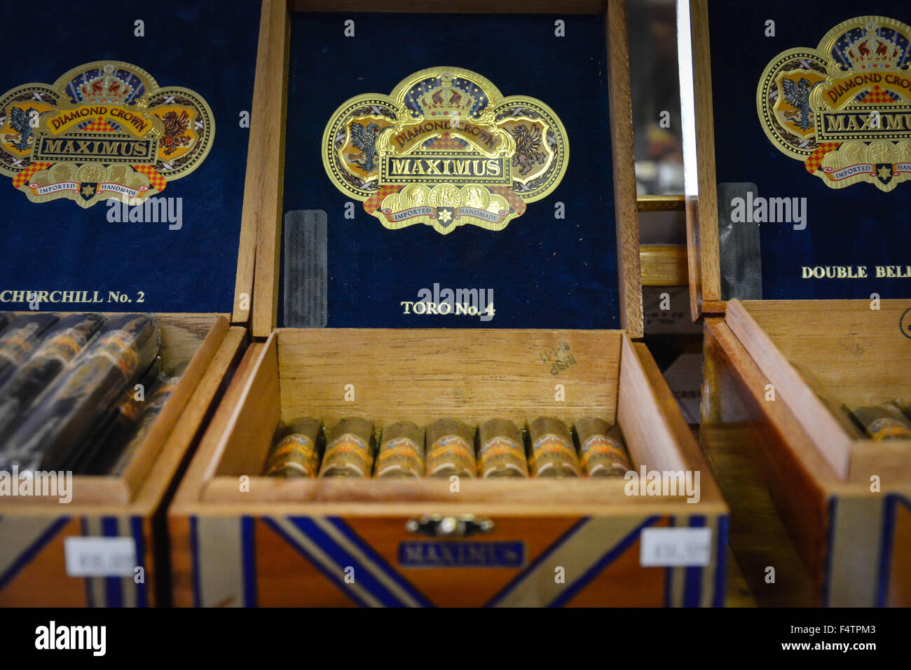 Verschiedene handgemachte Zigarren auf dem Display im Store in Ybor City, FL, der ehemaligen "Zigarre Hauptstadt der Welt" in der Nähe von Tampa, Florida Stockfoto