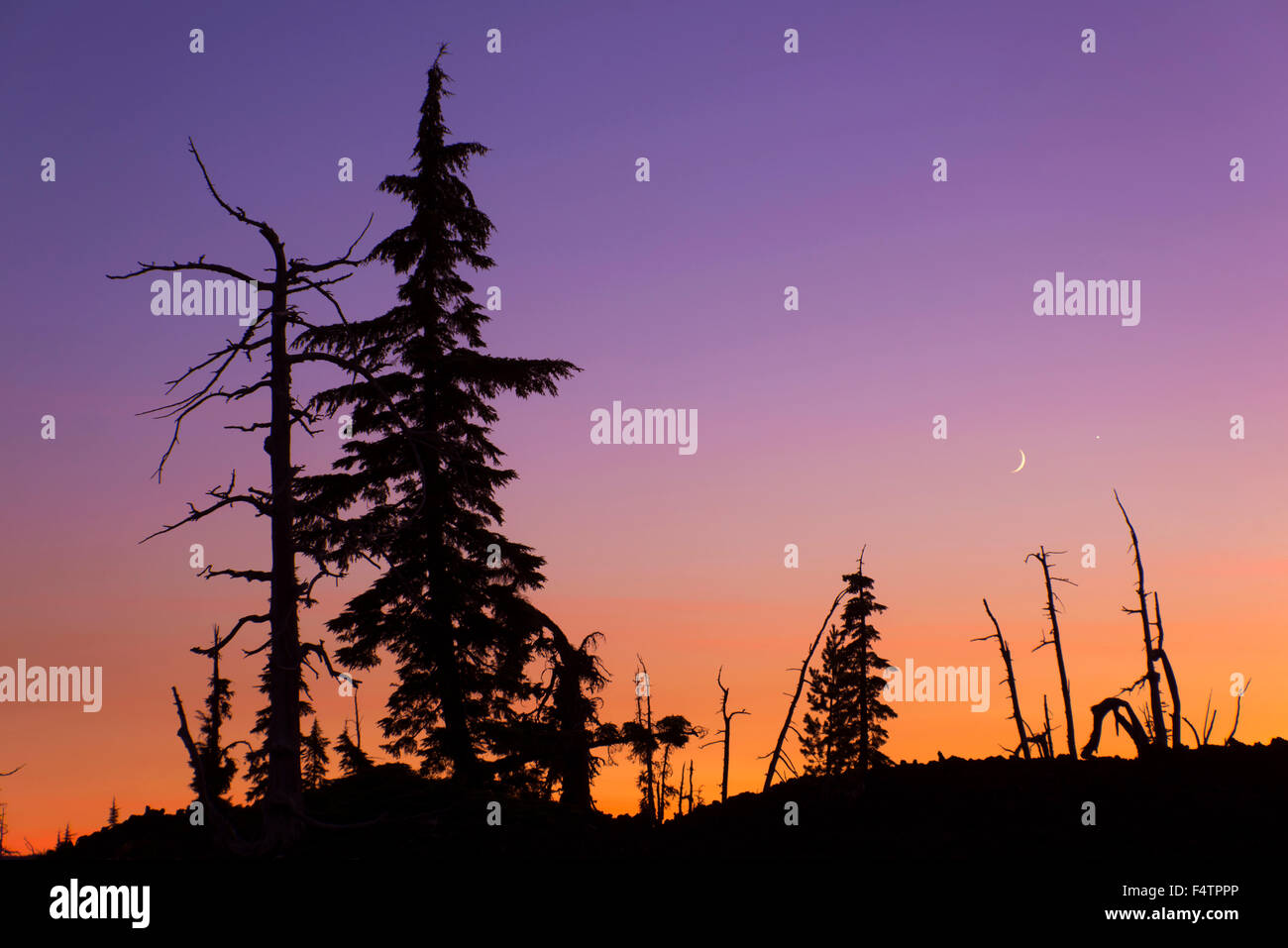 USA, Oregon, Lane County, Willamette, National Forest, Lavafeld und Schwestern Berge am McKenzie-Pass Stockfoto