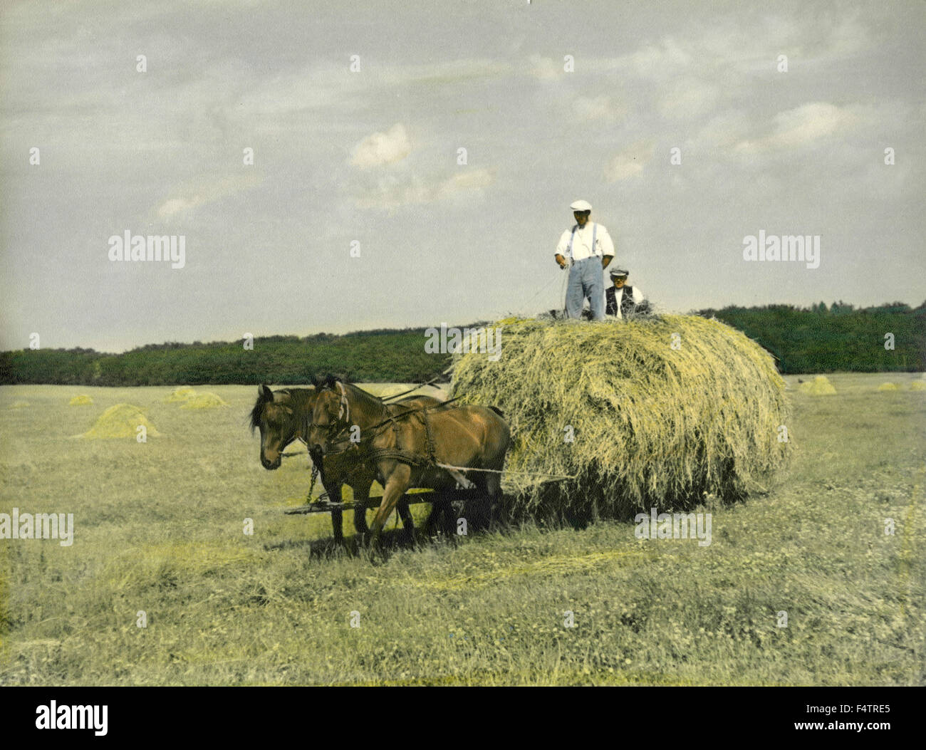 Zwei Bauern auf einem Pferdefuhrwerk sammeln Heu, Dänemark Stockfoto