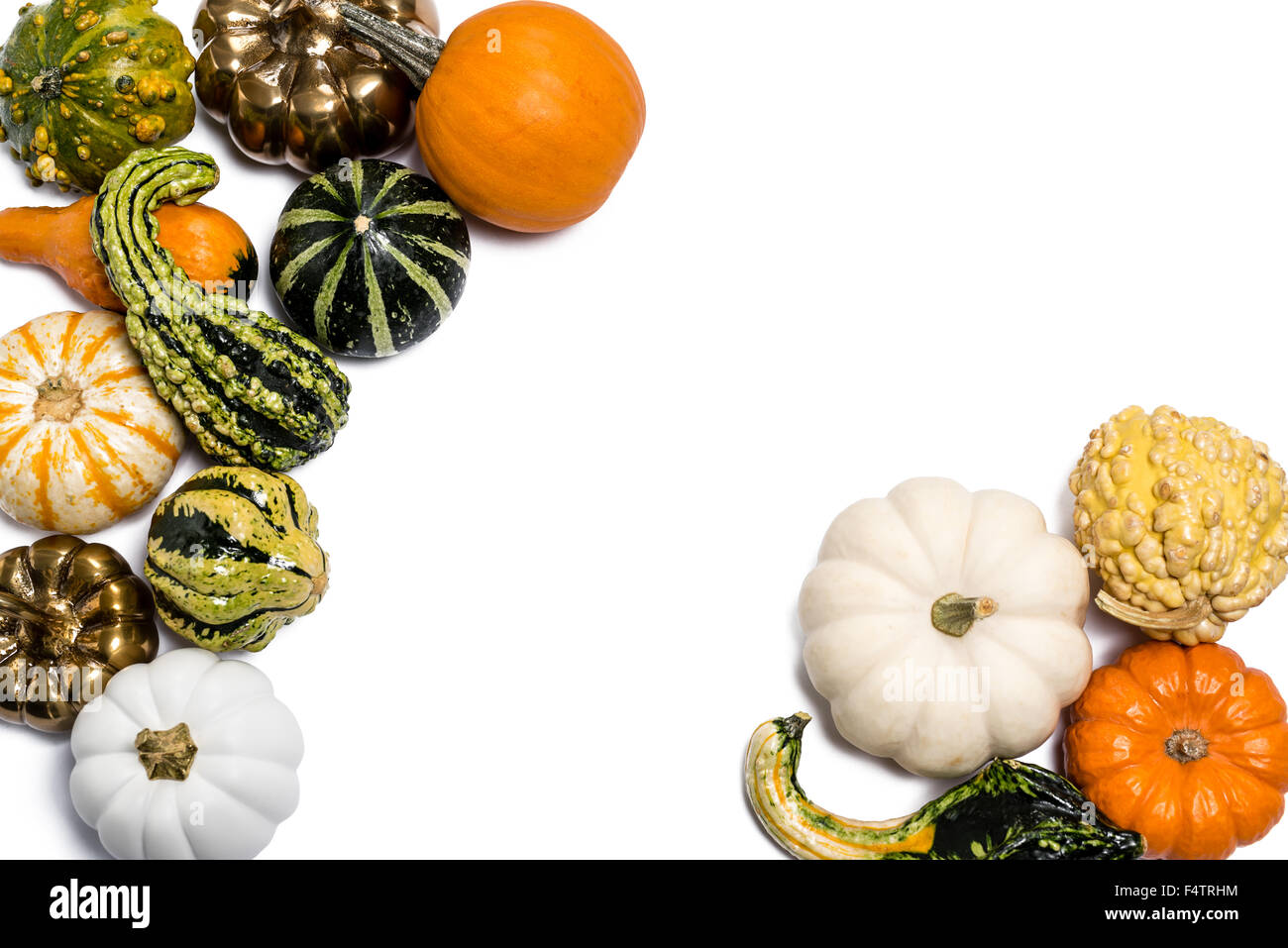 Thanksgiving Herbst Herbst Kürbis & Gords in asymmetrische Gruppierung Ausschnitt auf weißem Hintergrund Stockfoto