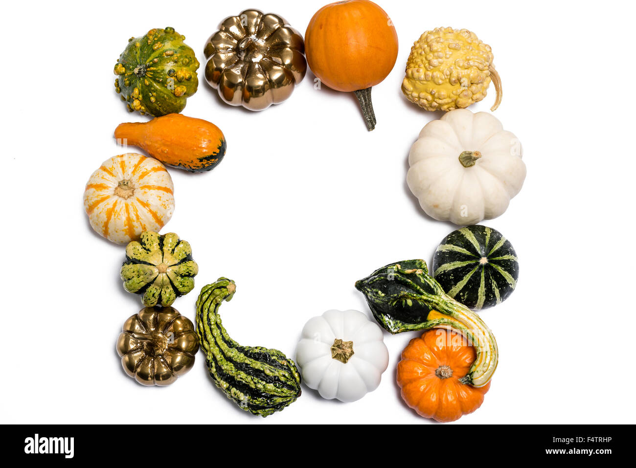 Thanksgiving Herbst Herbst Kürbis & Gords in quadratischen Gruppierung Ausschnitt auf weißem Hintergrund Stockfoto
