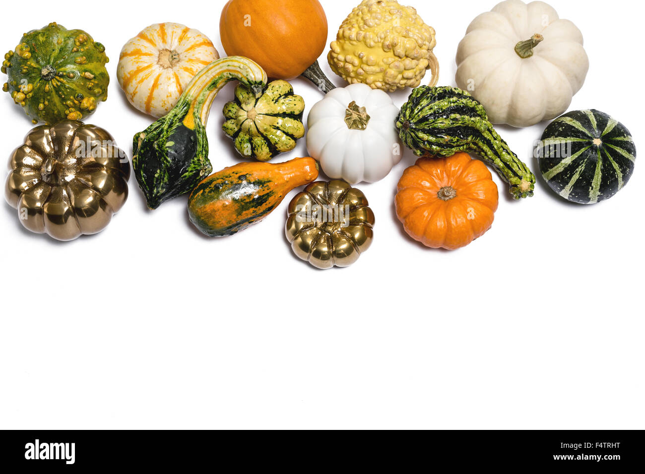 Thanksgiving Herbst Herbst Kürbis & Gords Gruppierung Ausschnitt auf weißem Hintergrund Stockfoto
