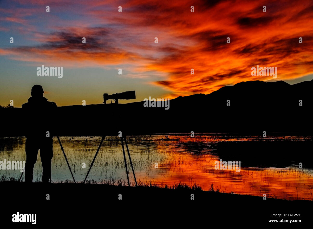 Ein Fotograf betrachtet den Sonnenuntergang, da sie in einen Schlafplatz Teich Bosque del Apache Wildlife Refuge ein wandernder widerspiegelt Stockfoto