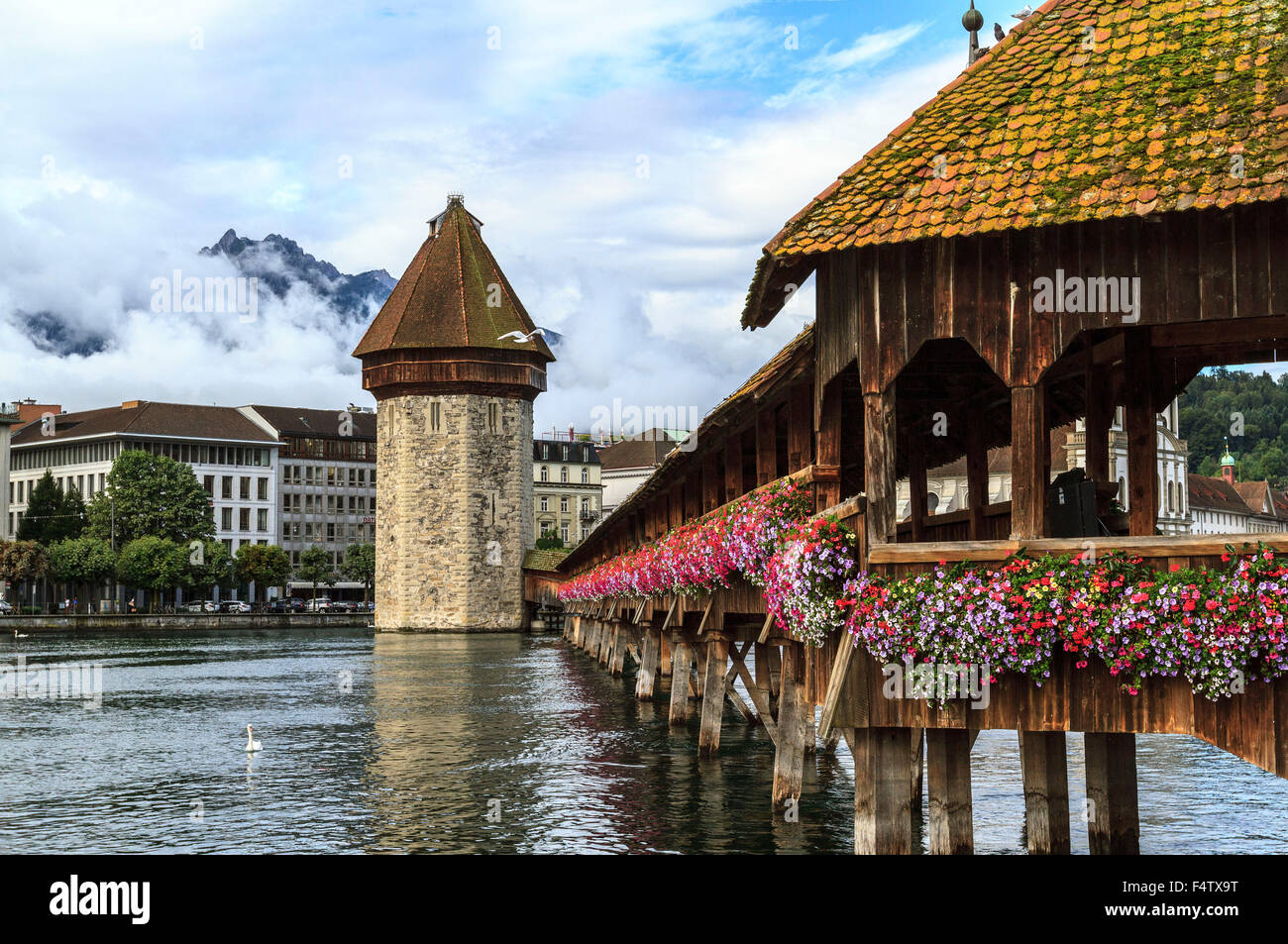Kapellbrücke-Brücke, Luzern, Schweiz Stockfoto