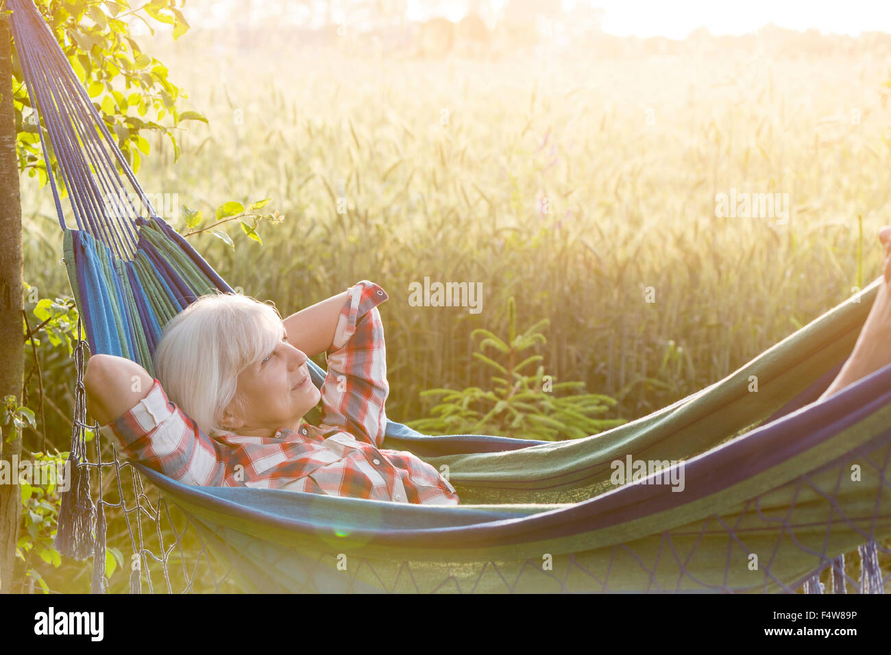 Heitere senior Frau in Hängematte neben ländlichen Weizenfeld Verlegung Stockfoto