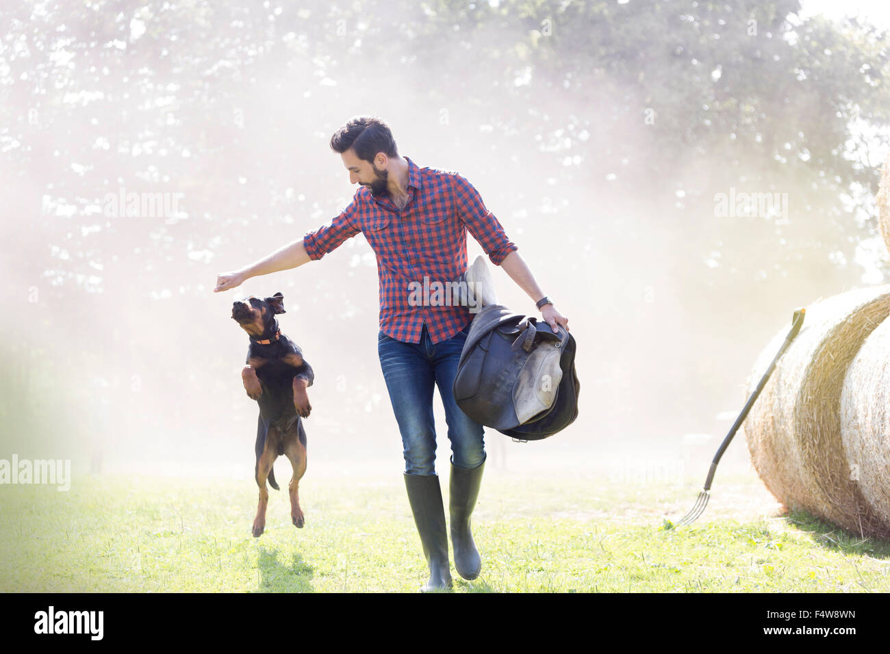 Mann mit Sattel Wandern mit Hund springen Stockfoto