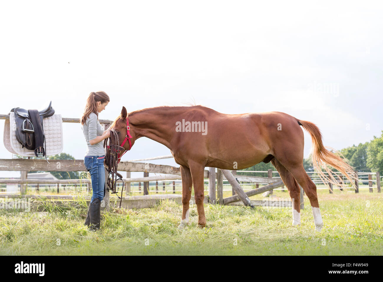 Frau Pferd Reiten in ländlichen Weide Vorbereitung Stockfoto