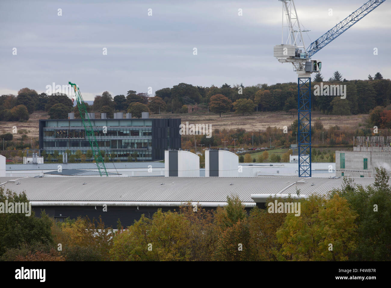 Edinburgh, Schottland. 23. Oktober 2015. Edinburgh Bau des Royal Hospital for Sick Children. Einen Überblick über den Bau des Royal Hospital für kranke Kinder und Umgebung neben neu das Royal Hospital for Sick Children. Pako Mera/Alamy Live-Nachrichten. Stockfoto