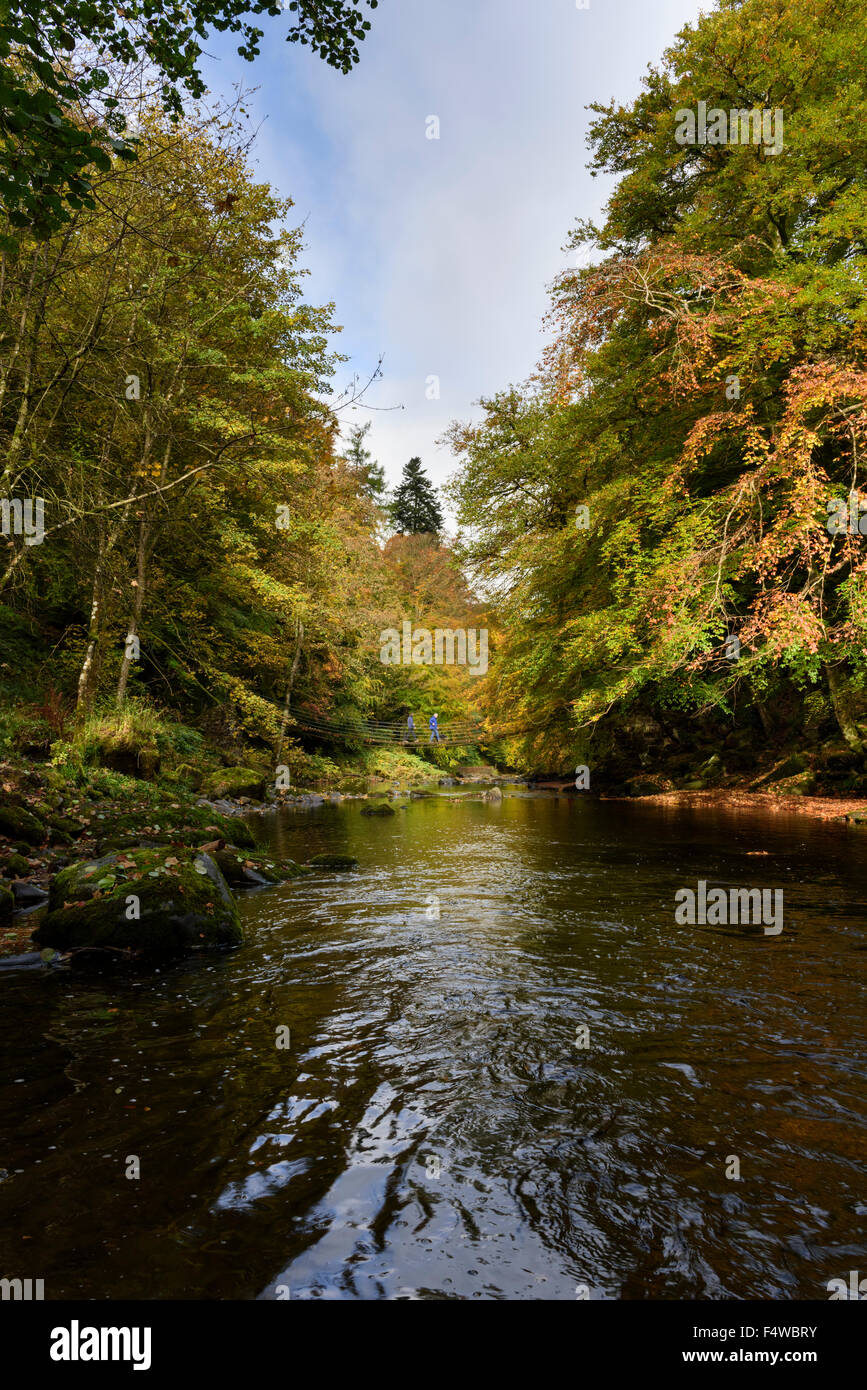 Herbst am Fluss Allen, Northumberland Stockfoto