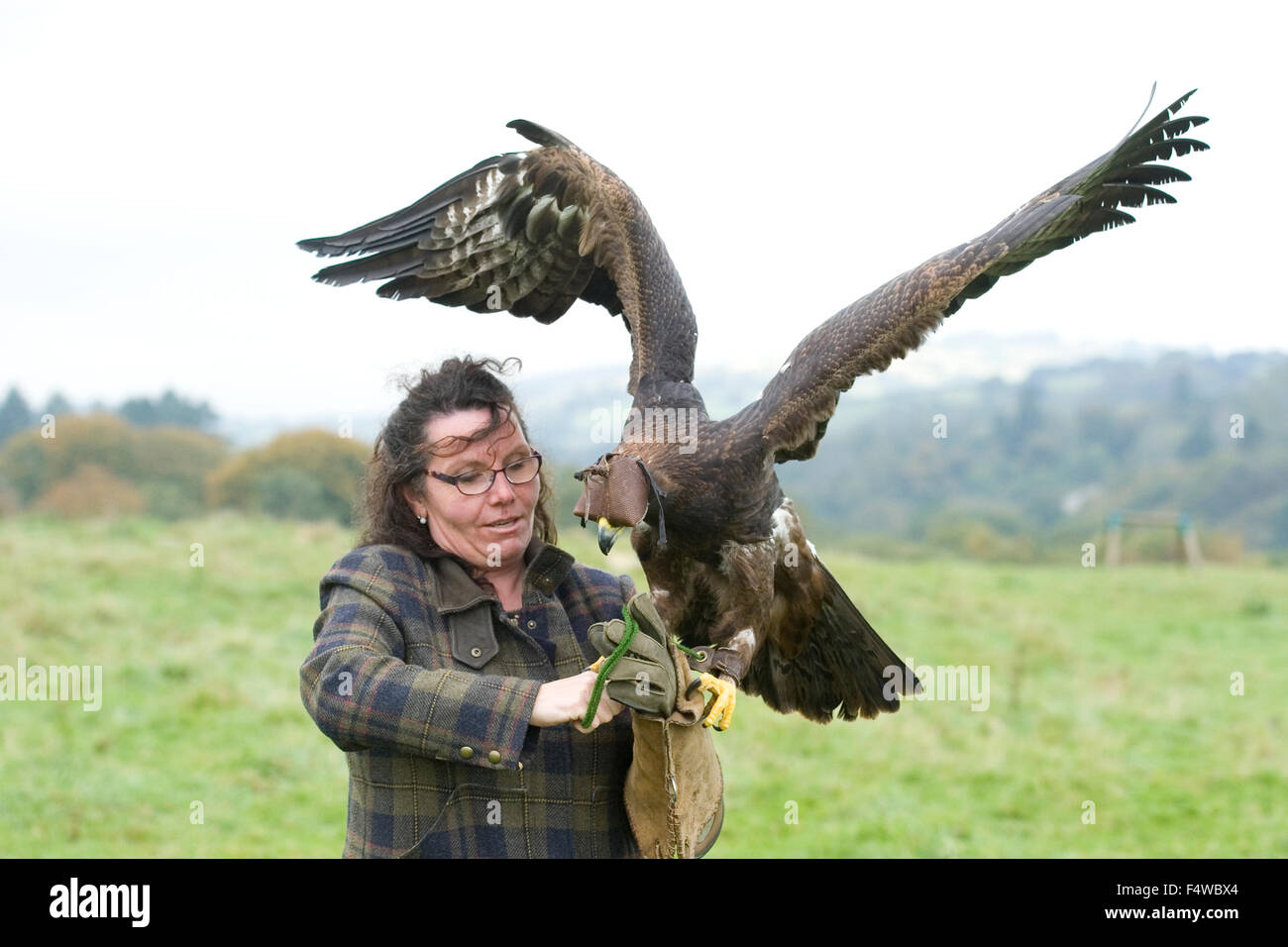 weibliche Falkner mit Adler Stockfoto