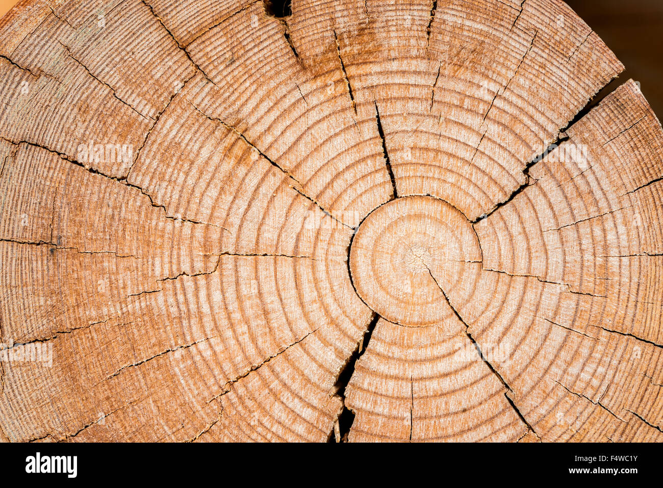 Holz Textur Stockfoto