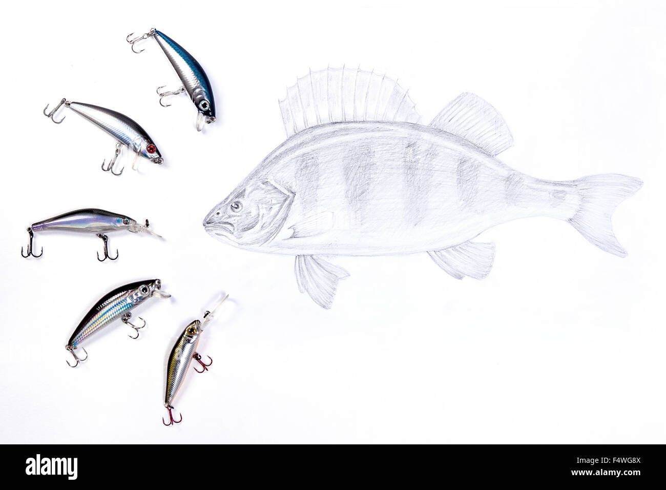 Verschiedene Arten von Fischen aus Kunststoff Köder mit Zeichnung Barsch auf dem weißen Hintergrund. Zeichnen mit Bleistift. Stockfoto