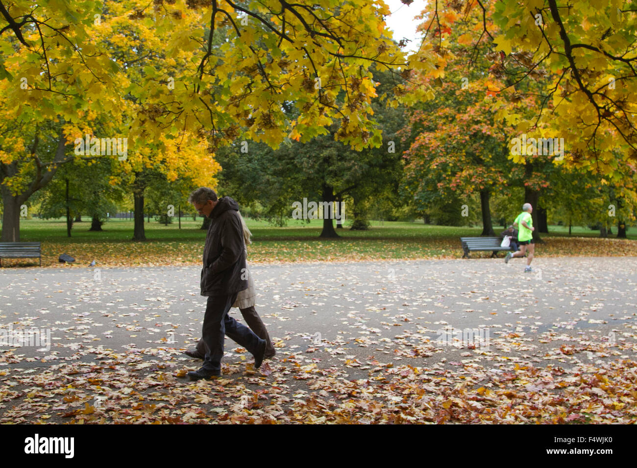 London, UK. 23. Oktober 2015. Herbstfarben im Hyde Park Credit: Amer Ghazzal/Alamy Live-Nachrichten Stockfoto