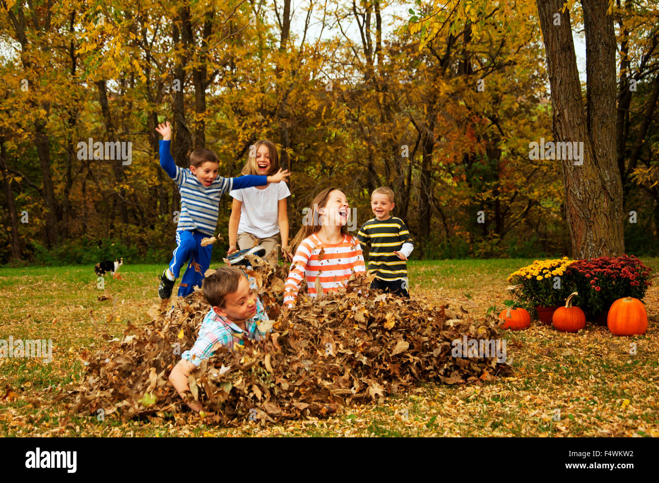 Fünf Kinder springen in ein Herbst-Blatt-Haufen Stockfoto