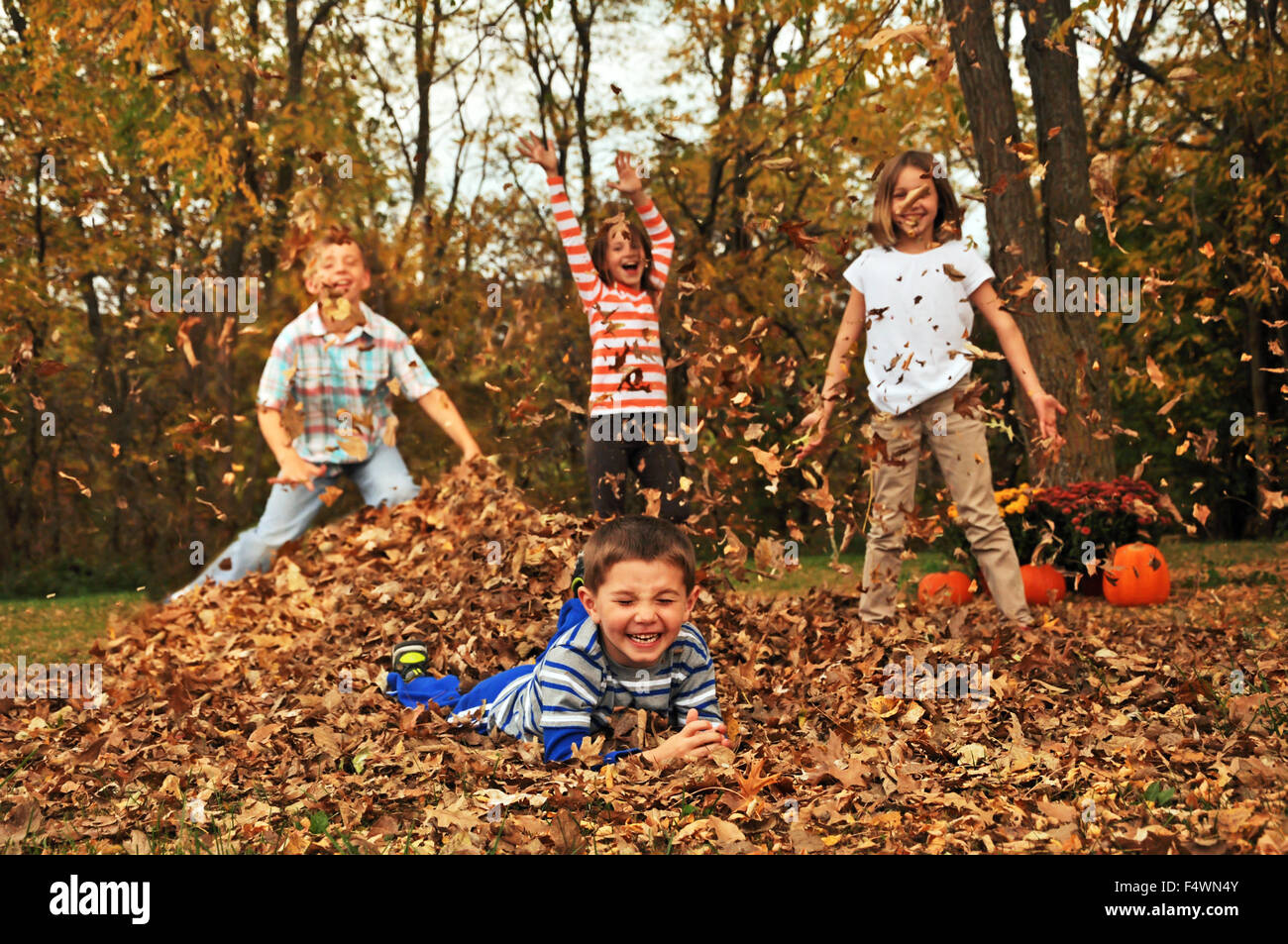 vier Kinder spielen im Herbst Blatt Haufen Stockfoto