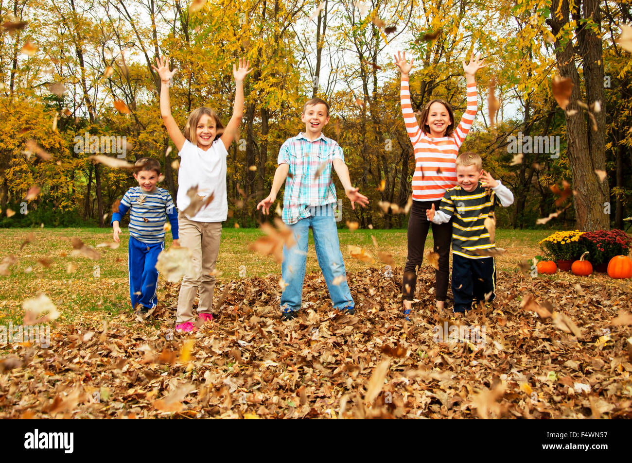 Fünf Kinder spielen im Herbstlaub Stockfoto