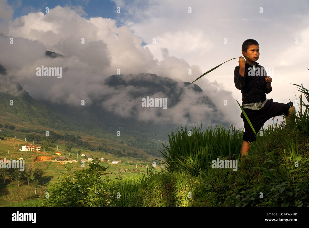 Ein Kind spielt neben der Reis-Terrassen in der Nähe von Lao Chai Dorf. Trekking Sapa, Lao Chai. Vietnam. Stockfoto