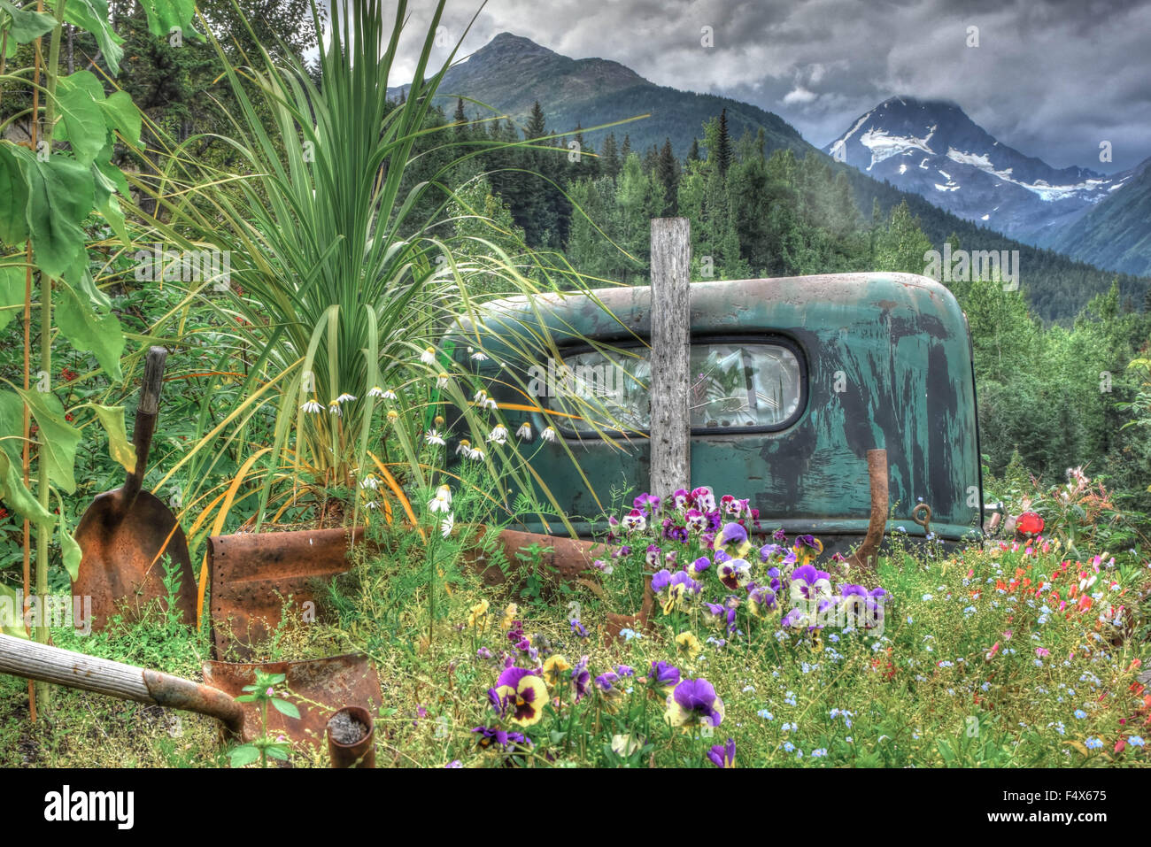 Eine alte/antike Lkw mit einem gebrochenen Fenster ist mit Pflanzen und Blumen bewachsen. Eine getrübte Bergkette in der Ferne zu sehen ist. Stockfoto