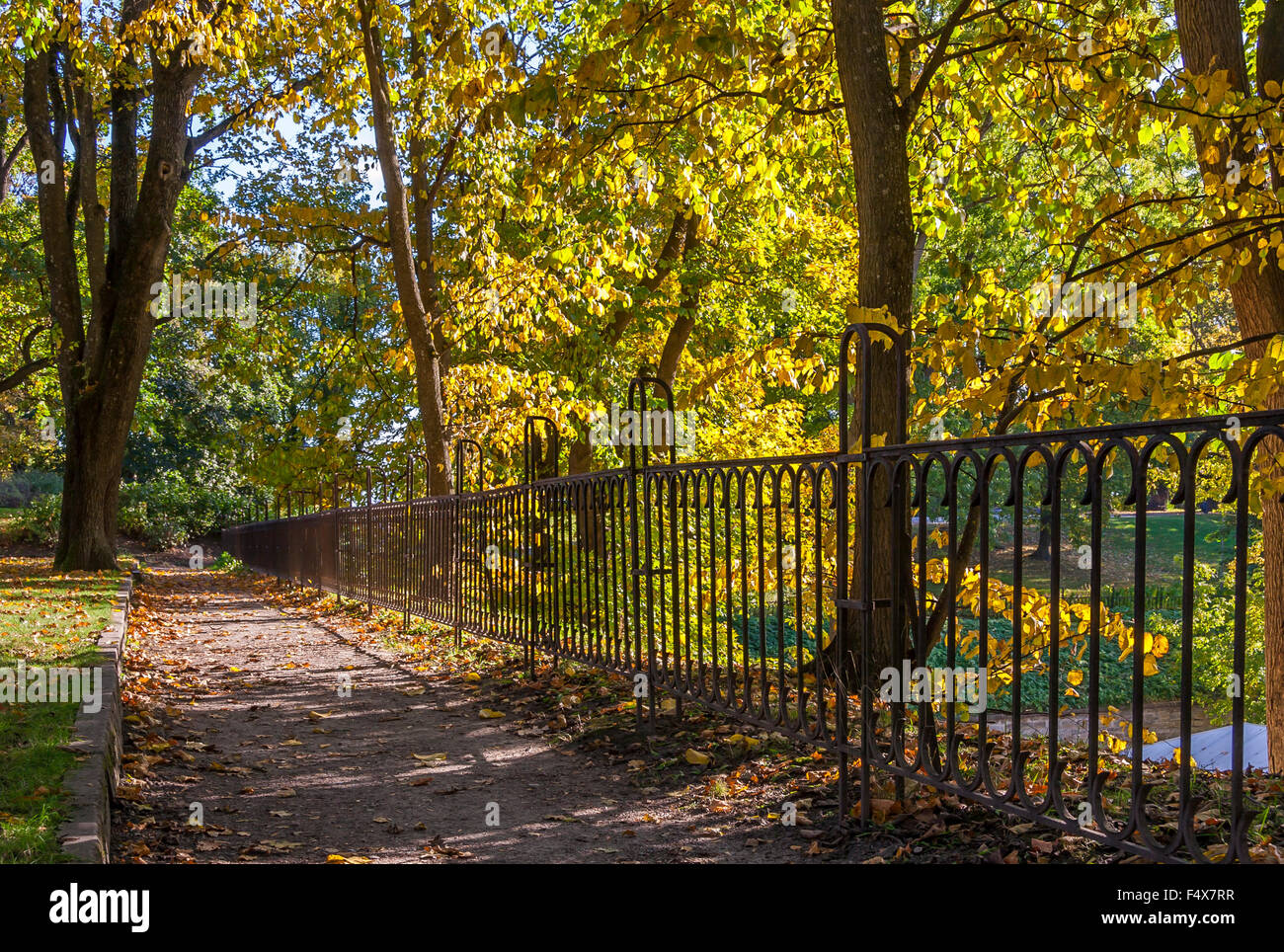 Herbst im Park Stockfoto